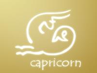 摩羯座的四象性