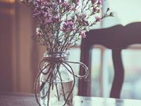 紫微斗数天同星2018年运势