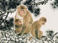 李云天2018年生肖猴运势