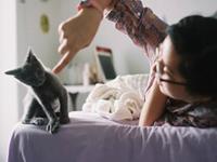 猫石对话2018年运势