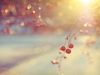 双子座经常因为什么而后悔