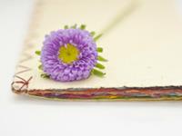 Pandora占星小巫本周塔罗运势（10.16-10.22）