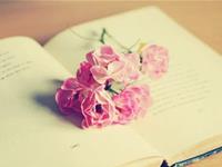 特别在意细节的星座