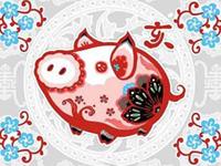 郑博士2017年11月生肖猪桃花运