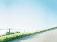 这些星座不付出真心肯定追不到