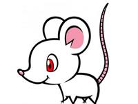 泓翔2017年11月生肖鼠感情运势