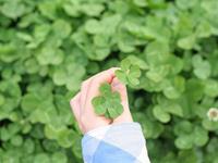 徐墨斋2017年11月生肖牛运势