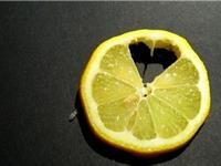 期待但害怕爱情的星座