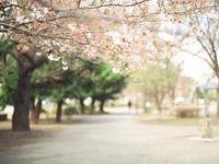 水瓶座的最大特点，水瓶座的最大特征