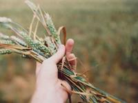 泓翔2017年11月生肖鼠人际关系运势