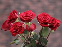 12星座女变心概率