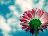 从来不因为喜欢主动联系你的星座