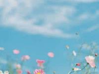 恋爱中，你一定读不懂的星座