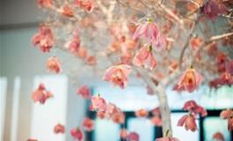 苏珊米勒今日运势2017年11月4日