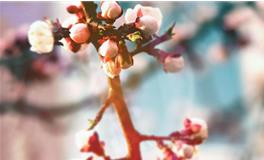 苏珊米勒今日运势2017年11月6日