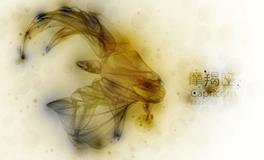 氧气占星2017年11月摩羯运势