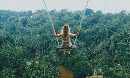 张盛舒紫微14主星一周运势（11.6-11.12）