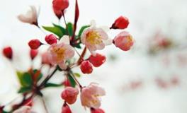 感情之中非常脆弱的星座