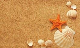 白羊座女生的怒点