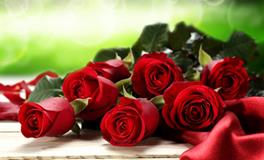 别人都说不般配，却仍然坚定在一起的星座