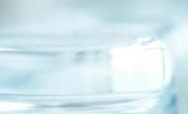 让人越来越爱的星座女