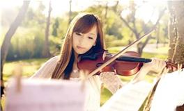 11月鸿运大旺，事业高升的生肖