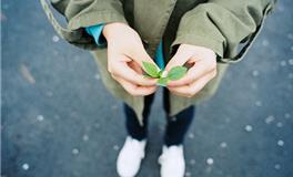 塔罗右手一周塔罗运势（11.13-11.19）