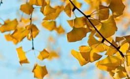 盘点：最悲剧的星座配对