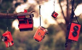 苏珊米勒今日运势2017年11月15日