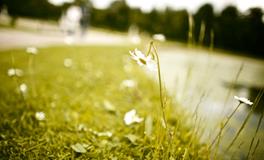 金牛座最令人讨厌的地方