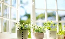 天秤座最令人讨厌的地方