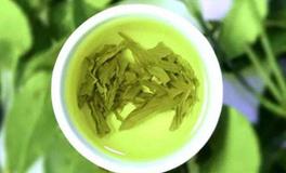 金牛座的性格缺点