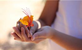 双子座最受不了的10件事