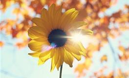 双鱼座最受不了的10件事