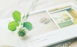 犟得像牛，把人气得没脾气的星座