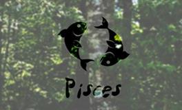 Alex双鱼座2017年12月运势