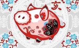 麦玲玲2018年生肖猪运势