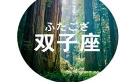 凰洛2017年12月双子座运势