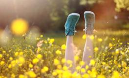 吴宽之2018年生肖猪运势