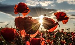 世界上最可怕的三件事（天蝎、摩羯、水瓶）