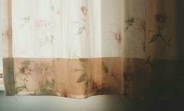 玛利亚2018年狮子座运势