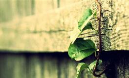 巨蟹座最好的朋友是什么座