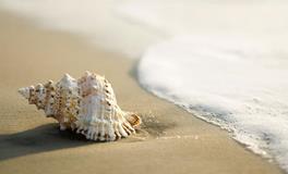 12星座的人生会大起大落吗