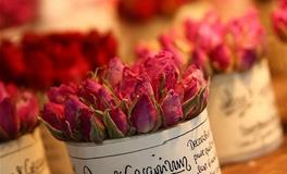 面包与爱情，一定会选择爱情的星座