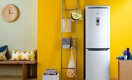 冰箱上不宜摆放假花，易坏风水