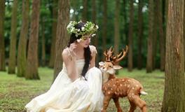 爱情中，总是喜欢占据主动的星座