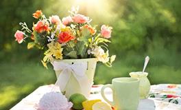 人缘超好，朋友最多的星座