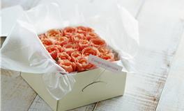 取悦12星座，有你意想不到的好处