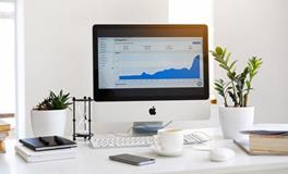 不同生肖的办公室花卉最佳选择