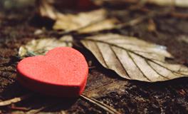 老公出轨，12星女选择，一拍两散OR姑且原谅